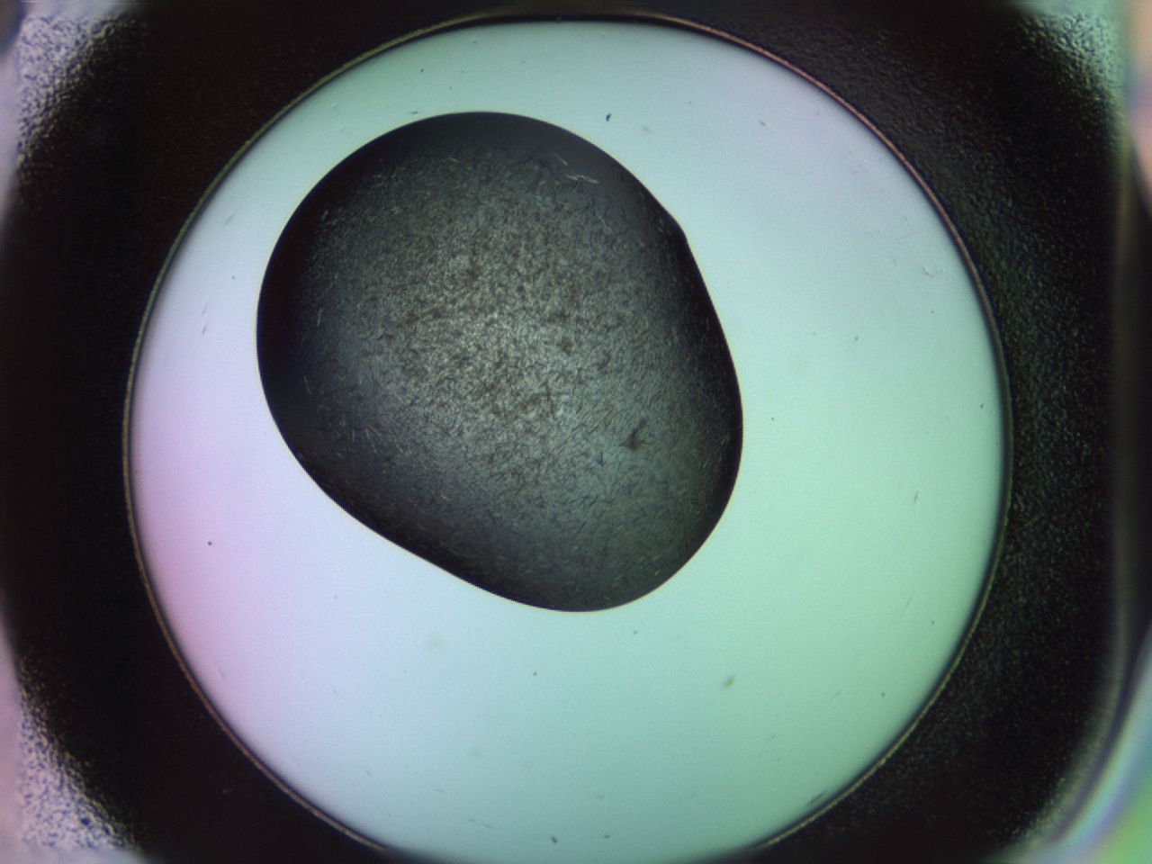 02g3_C8_ImagerDefaults_7.jpg