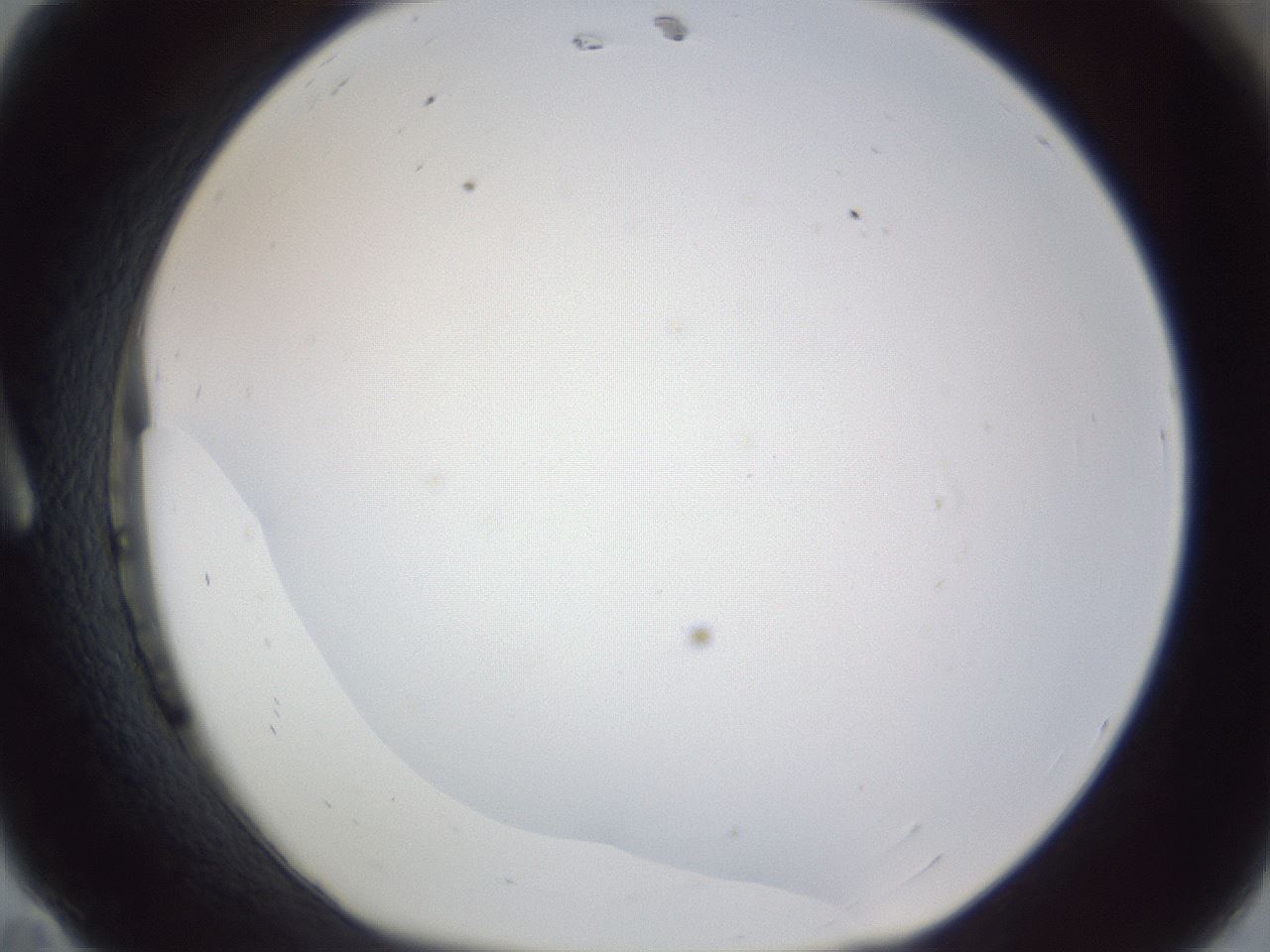 folderID218_plateID1218_batchID3674_wellNum11_profileID1_d1_r69364_ef.jpg