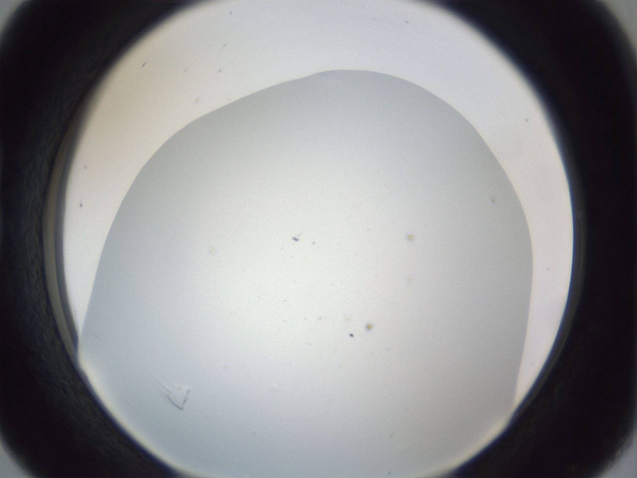 folderID218_plateID1218_batchID3674_wellNum16_profileID1_d1_r69374_ef.jpg