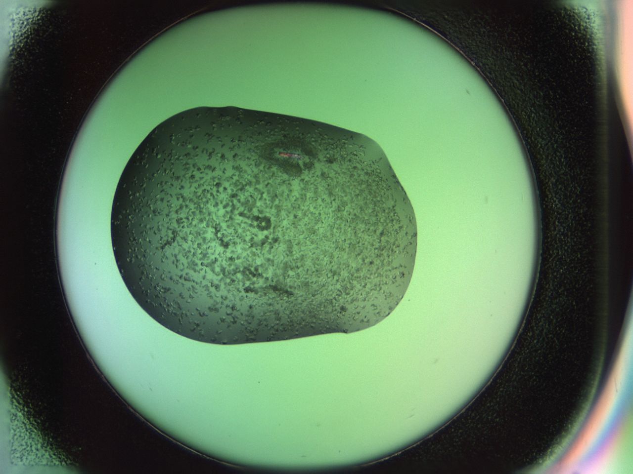 02g4_D1_ImagerDefaults_7.jpg