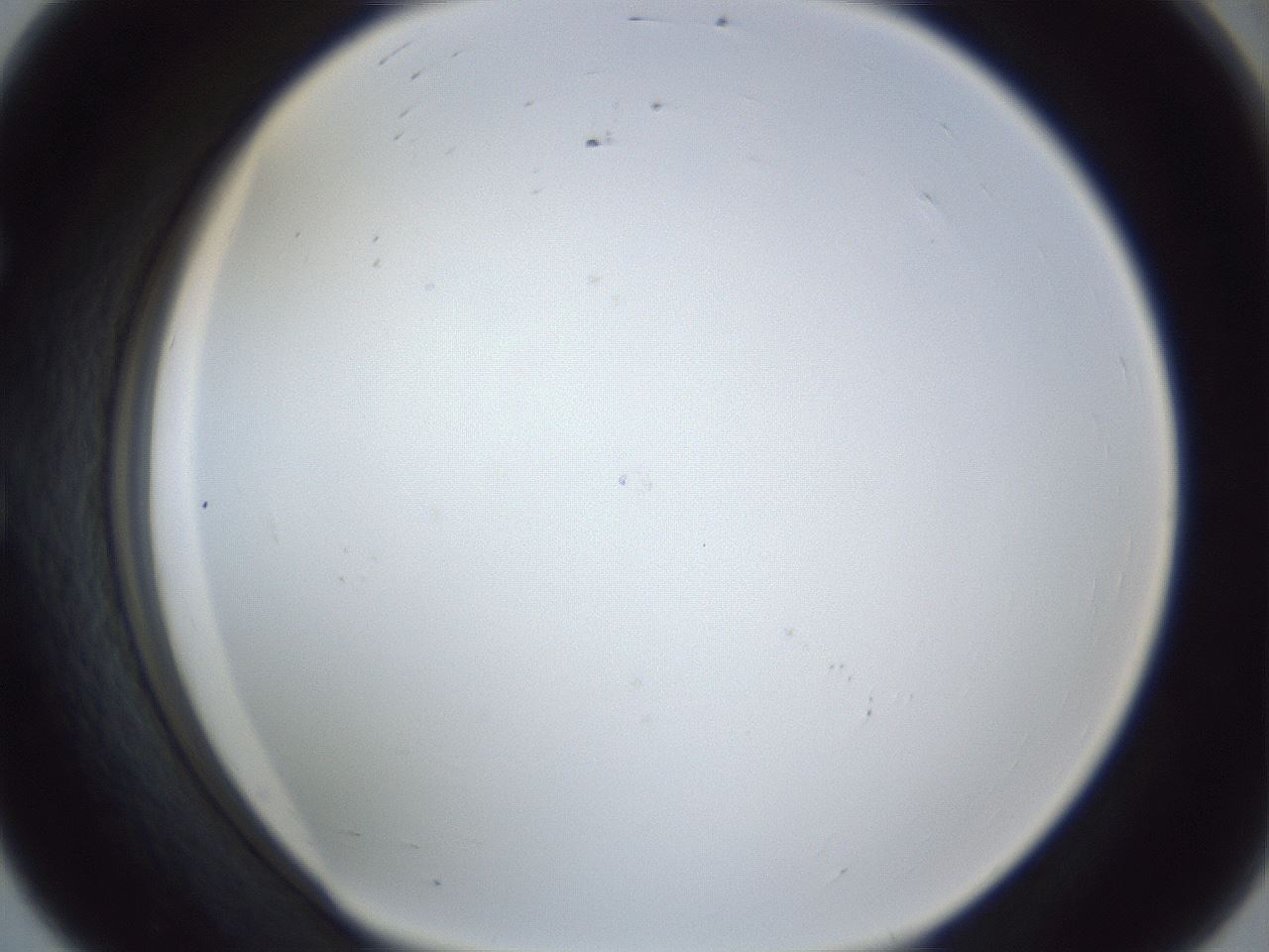 folderID218_plateID1218_batchID3674_wellNum56_profileID1_d1_r69454_ef.jpg