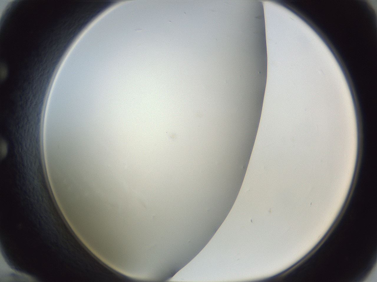 folderID218_plateID1218_batchID3674_wellNum60_profileID1_d1_r69462_ef.jpg