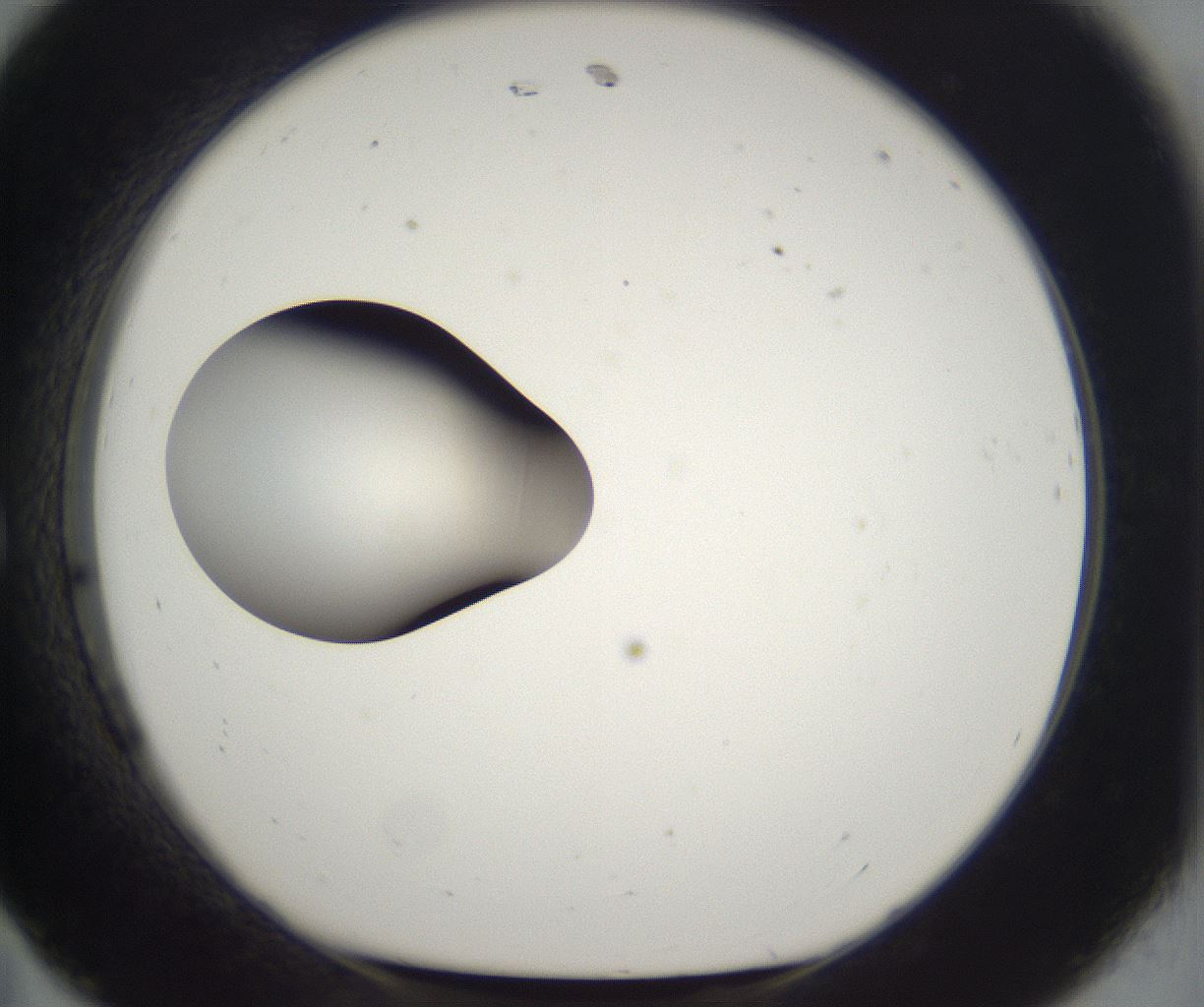 folderID218_plateID2218_batchID10058_wellNum11_profileID1_d1_r152075_ef.jpg