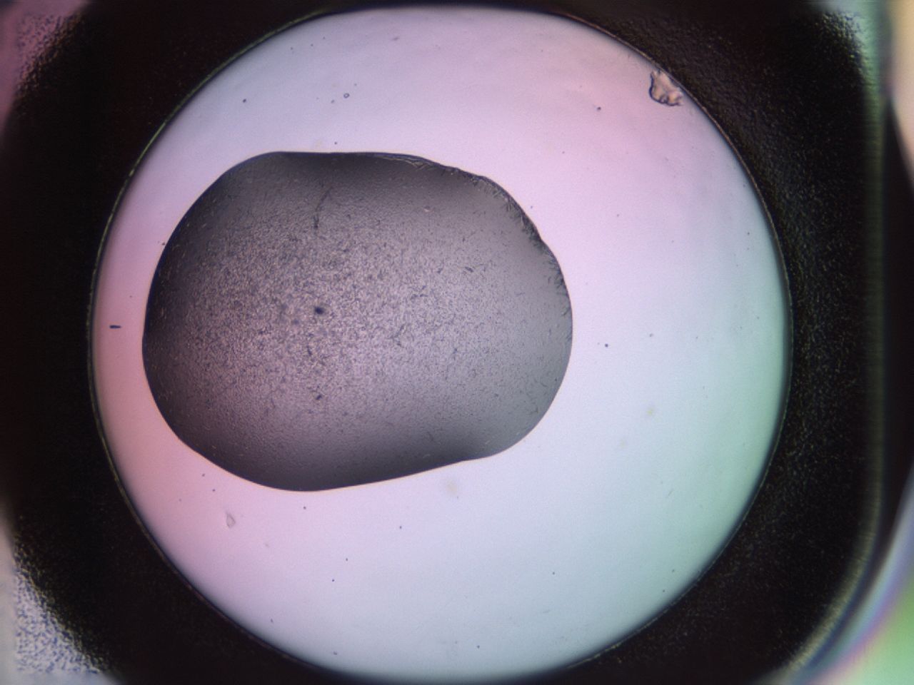 02g4_D4_ImagerDefaults_7.jpg