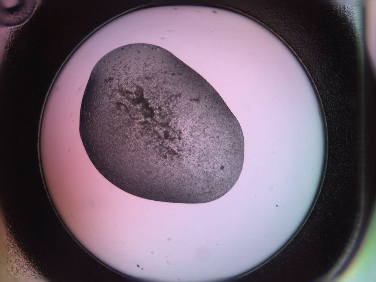 02g4_D10_ImagerDefaults_7.jpg