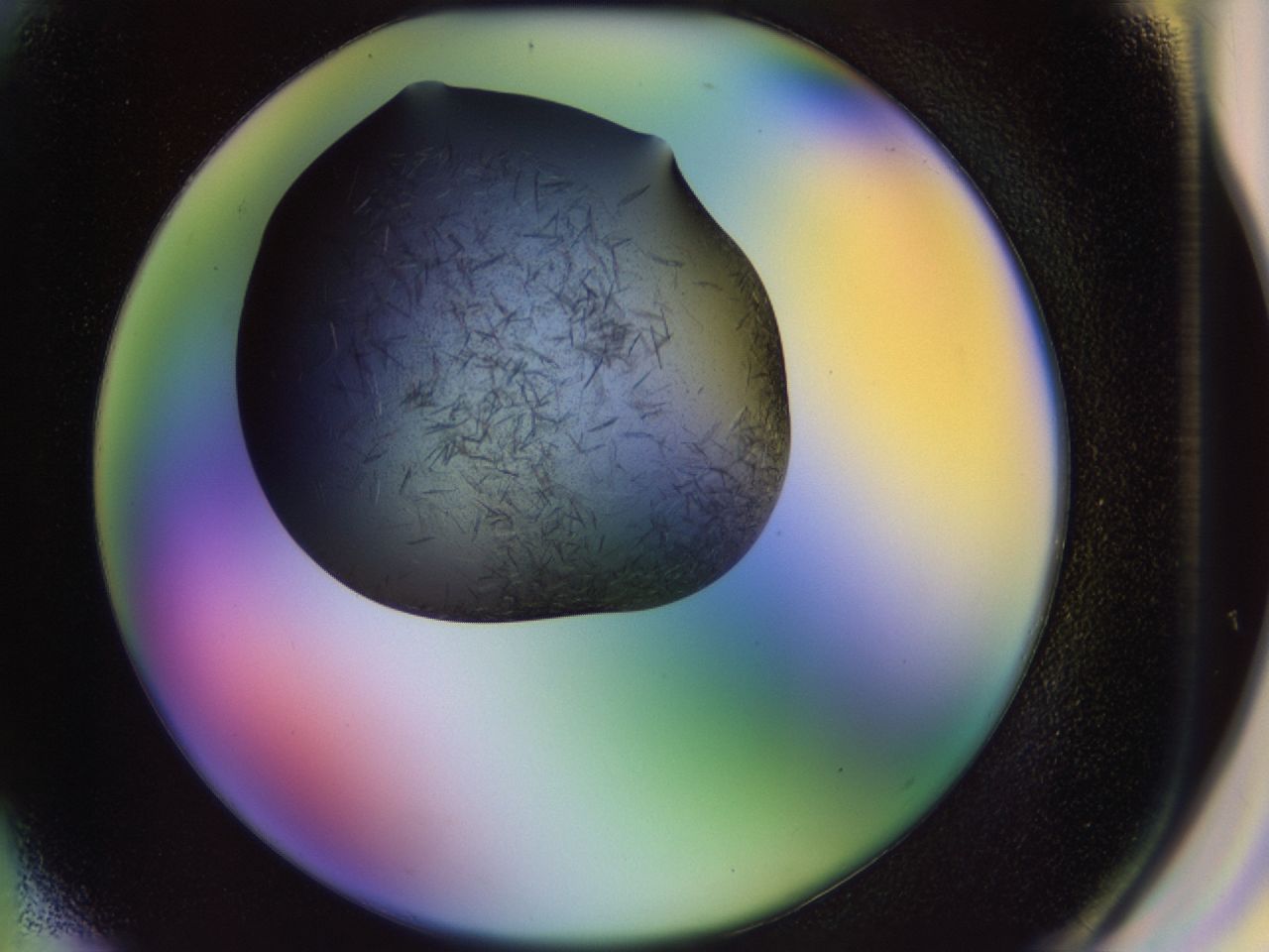 02g4_G3_ImagerDefaults_7.jpg