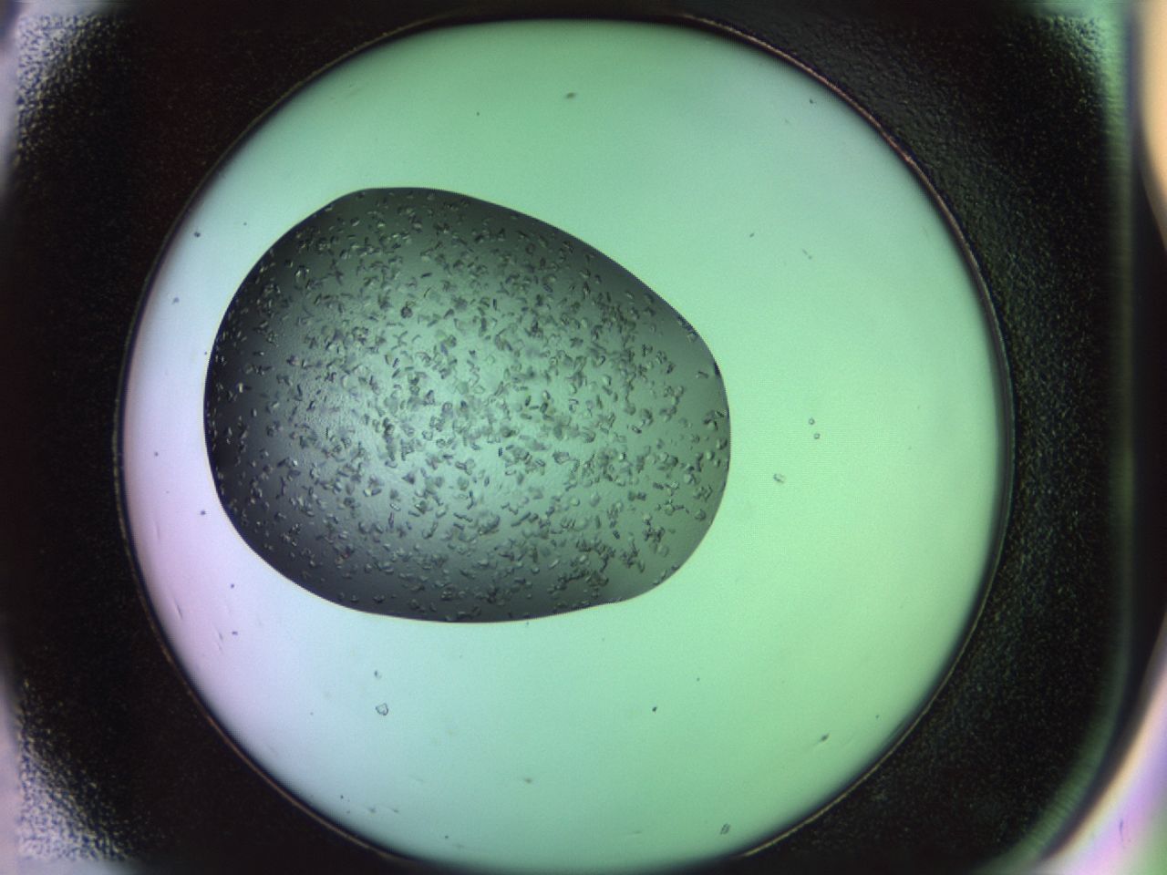 02g4_D8_ImagerDefaults_7.jpg