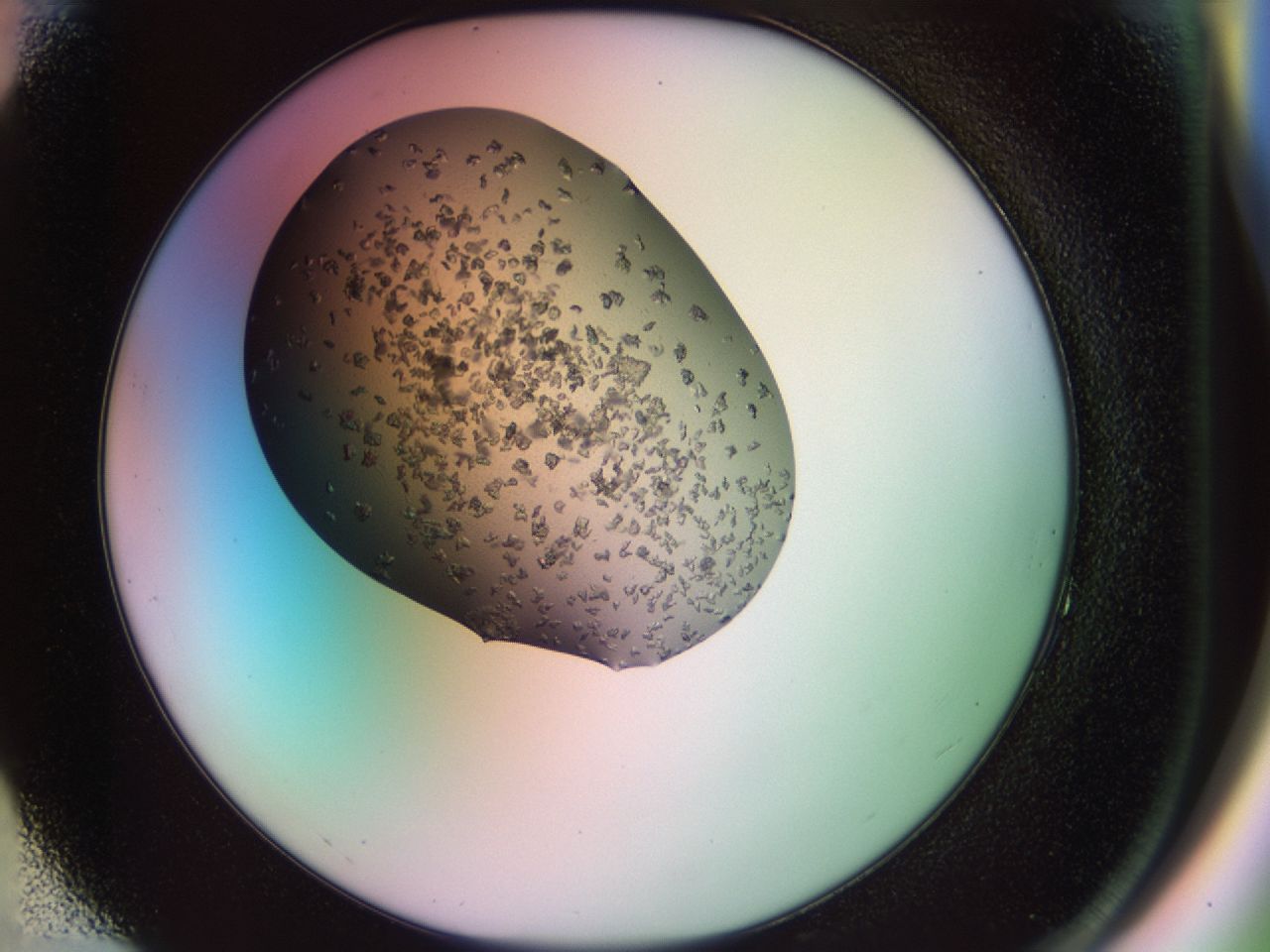 02g4_F4_ImagerDefaults_7.jpg