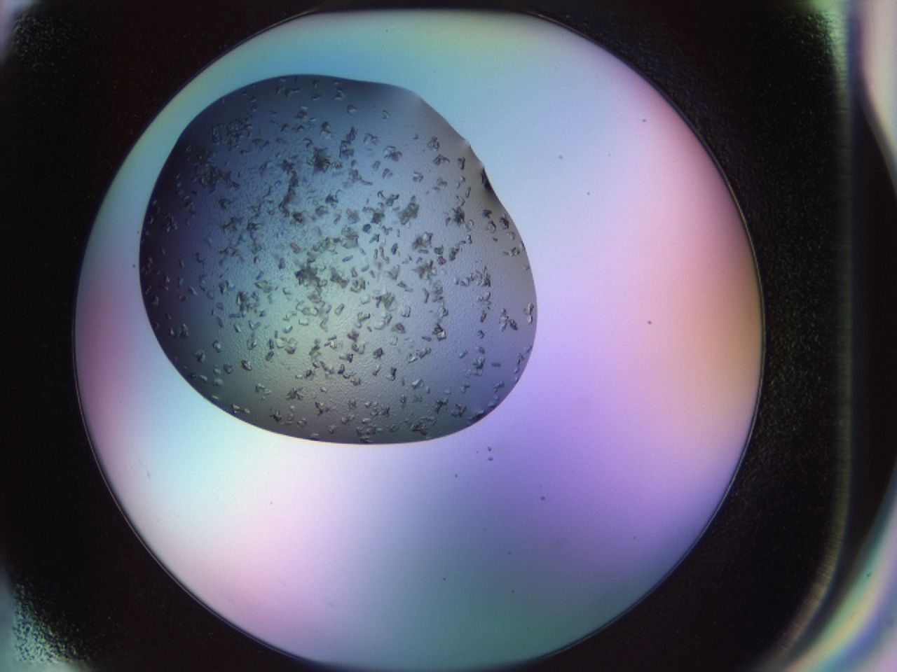 02g4_G6_ImagerDefaults_7.jpg