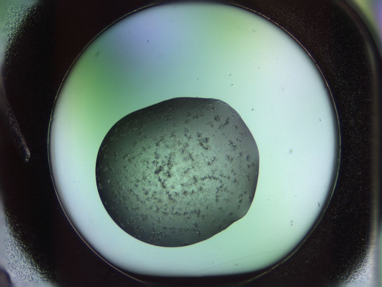 02g4_A3_ImagerDefaults_7.jpg