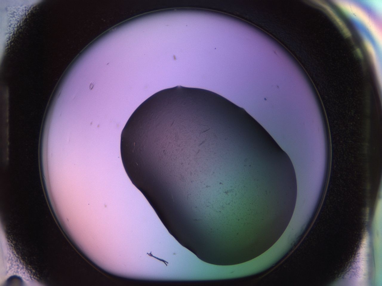 02g4_H11_ImagerDefaults_7.jpg