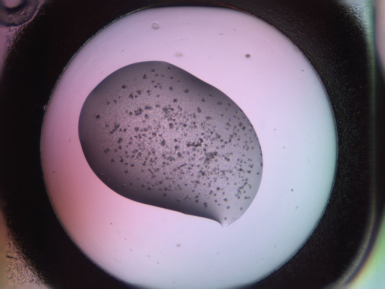 02g4_C10_ImagerDefaults_7.jpg