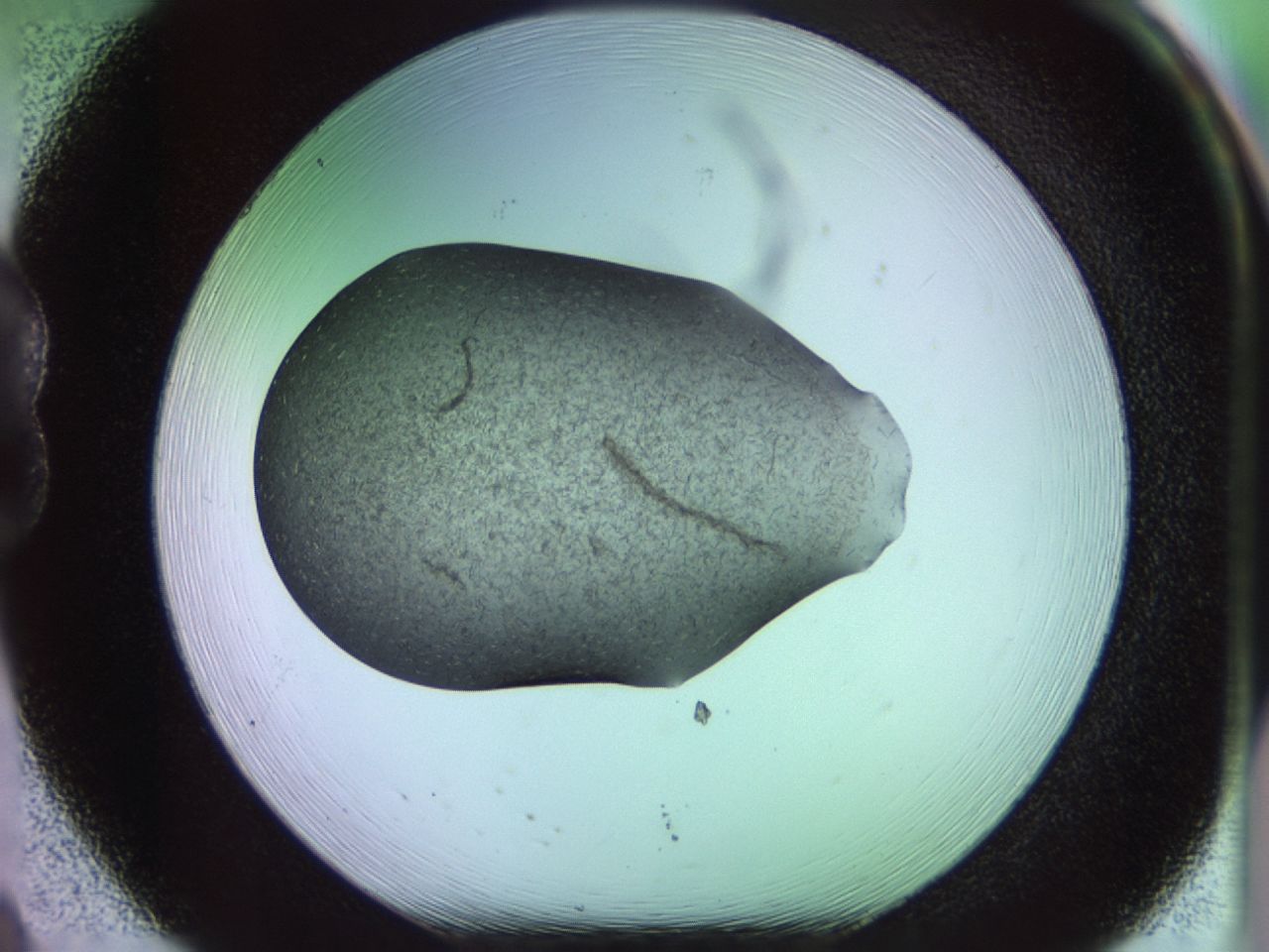 02g4_B8_ImagerDefaults_7.jpg