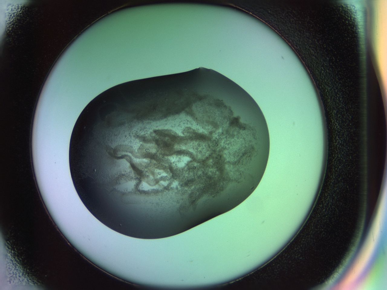 02ga_D1_ImagerDefaults_6.jpg