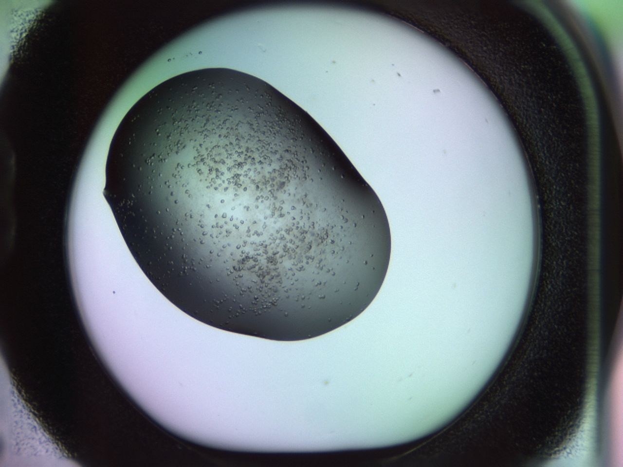 02gc_B5_ImagerDefaults_6.jpg