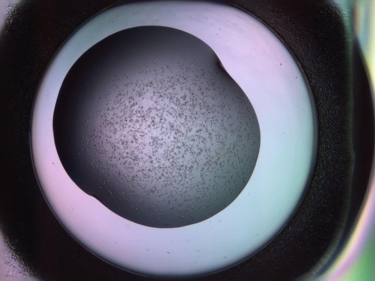 02gl_E3_ImagerDefaults_6.jpg