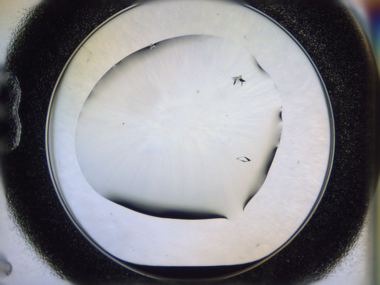 02ha_B6_ImagerDefaults_9.jpg