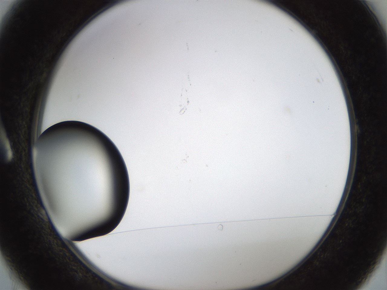 folderID228_plateID1228_batchID3780_wellNum1_profileID1_d1_r70304_ef.jpg