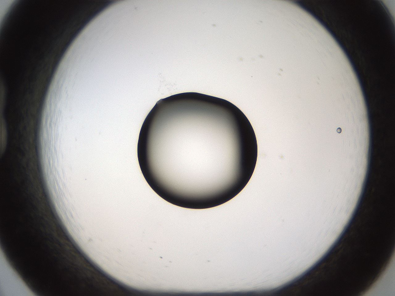 folderID228_plateID1228_batchID3780_wellNum20_profileID1_d1_r70323_ef.jpg