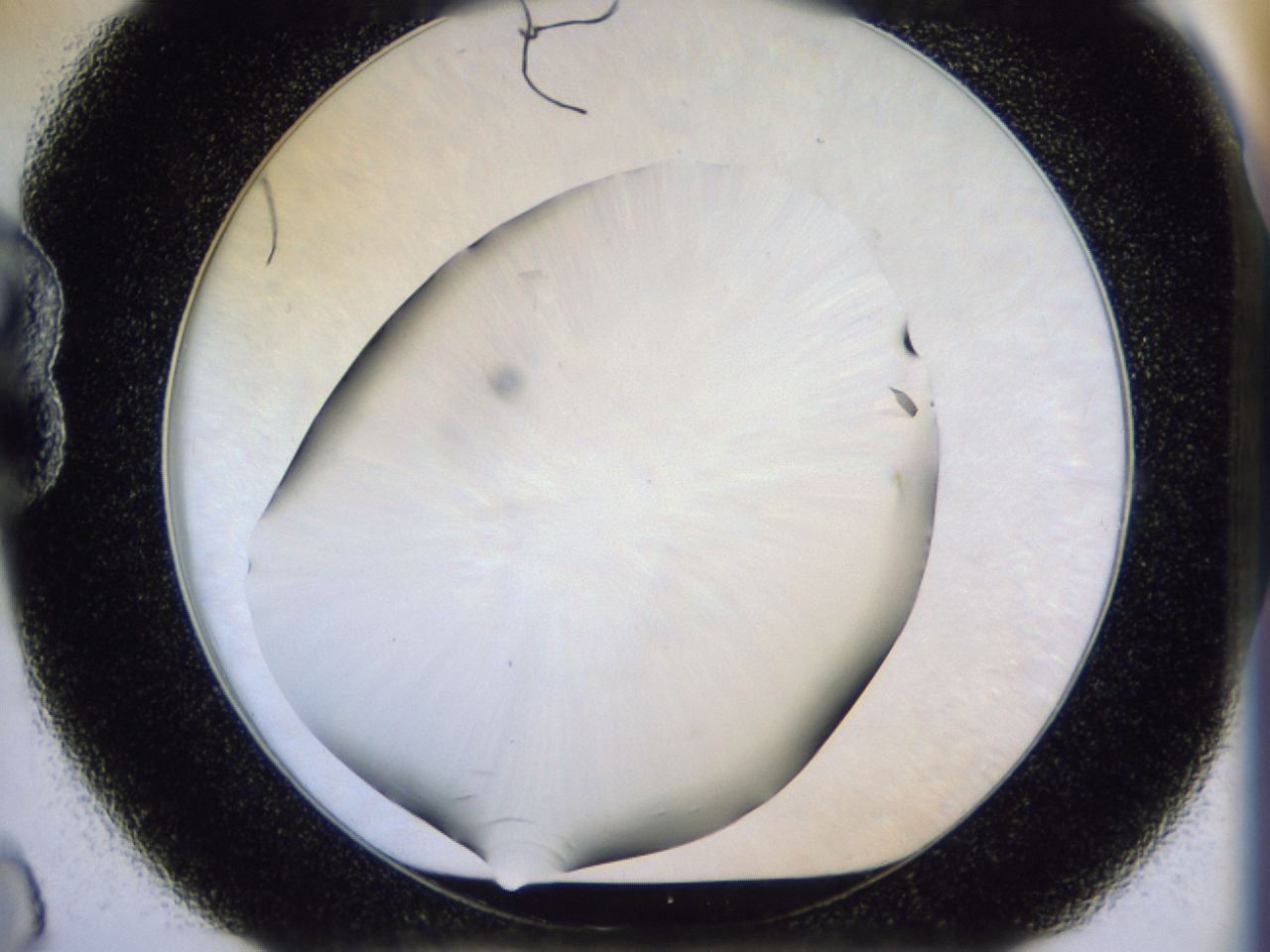 02ha_B8_ImagerDefaults_9.jpg