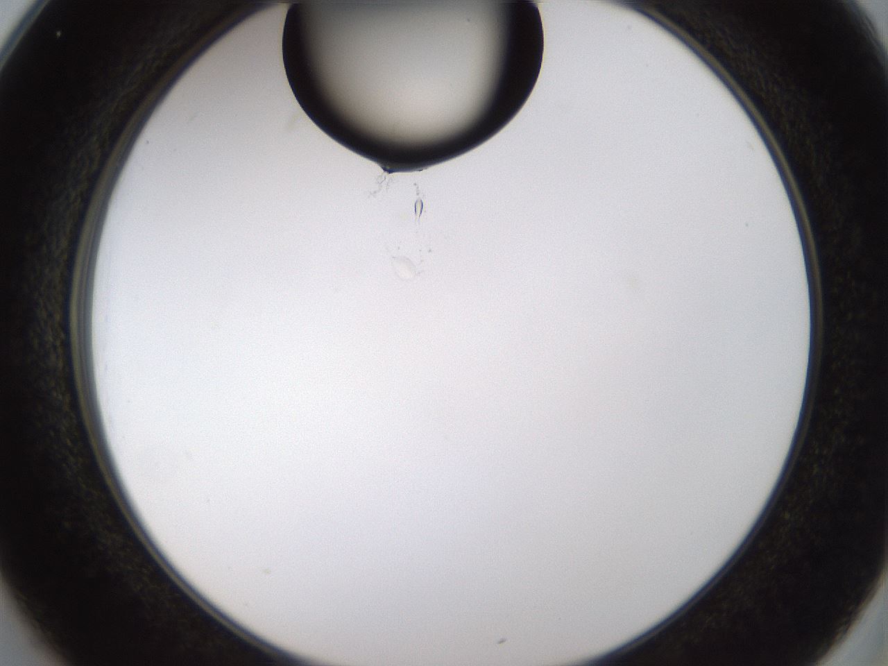 folderID228_plateID1228_batchID3780_wellNum25_profileID1_d2_r71386_ef.jpg