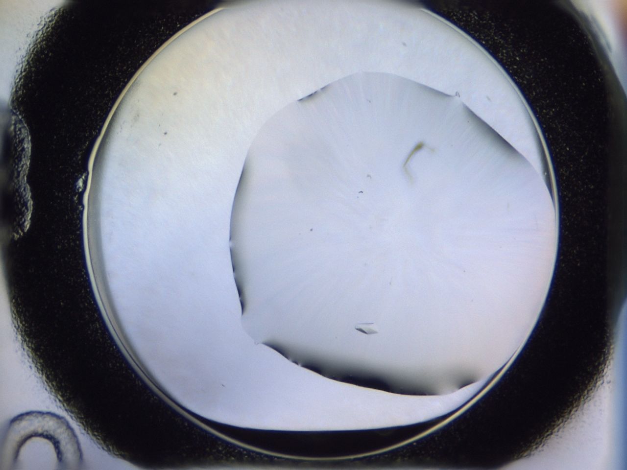 02ha_B10_ImagerDefaults_9.jpg