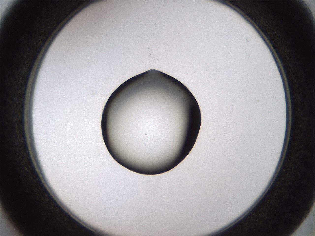 folderID228_plateID1228_batchID3780_wellNum37_profileID1_d2_r71398_ef.jpg