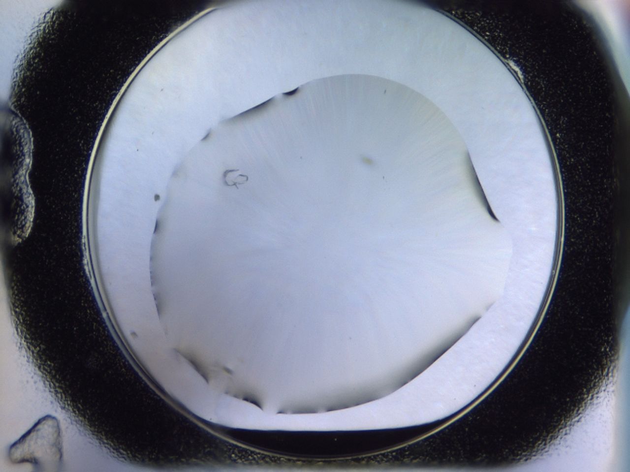 02ha_B11_ImagerDefaults_6.jpg