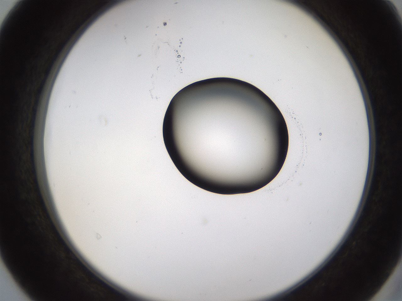 folderID228_plateID1228_batchID3780_wellNum40_profileID1_d2_r71401_ef.jpg