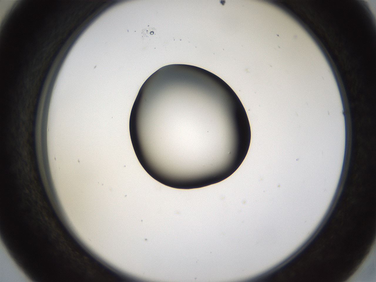 folderID228_plateID1228_batchID3780_wellNum41_profileID1_d2_r71402_ef.jpg