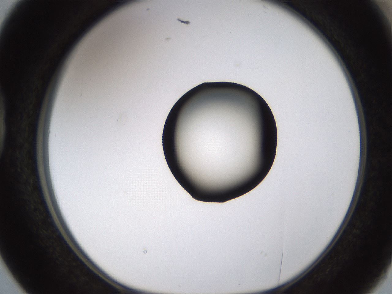 folderID228_plateID1228_batchID3780_wellNum38_profileID1_d1_r70341_ef.jpg