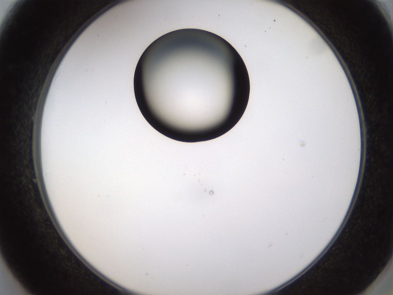folderID228_plateID1228_batchID3780_wellNum49_profileID1_d2_r71410_ef.jpg