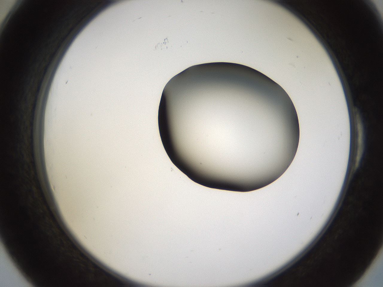 folderID228_plateID1228_batchID3780_wellNum54_profileID1_d2_r71415_ef.jpg