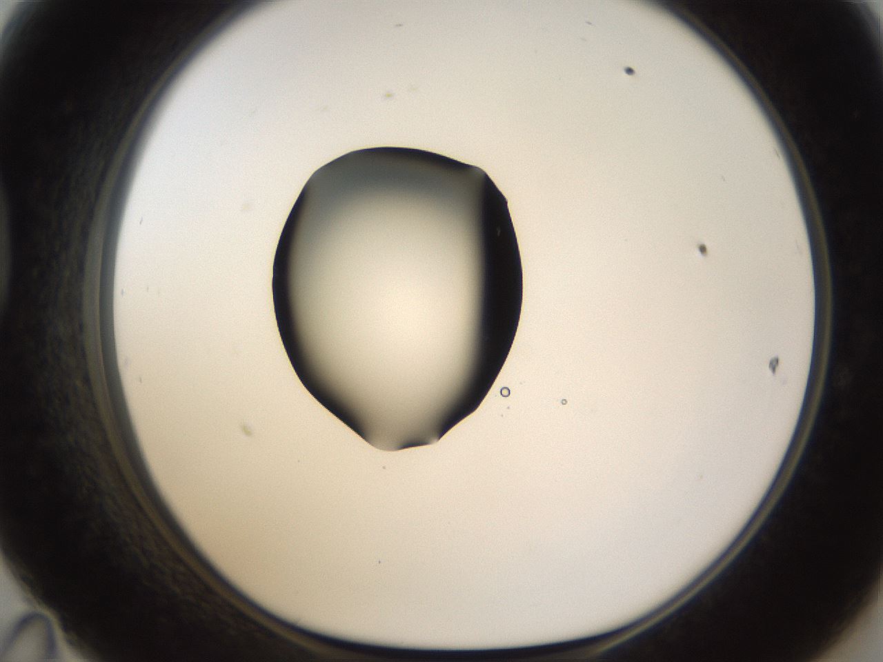 folderID228_plateID1228_batchID3780_wellNum47_profileID1_d1_r70350_ef.jpg