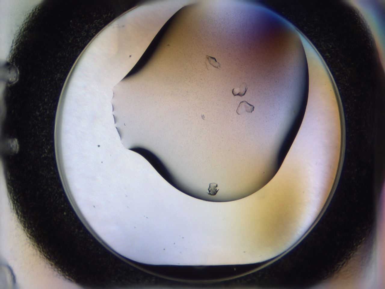 02ha_E9_ImagerDefaults_6.jpg