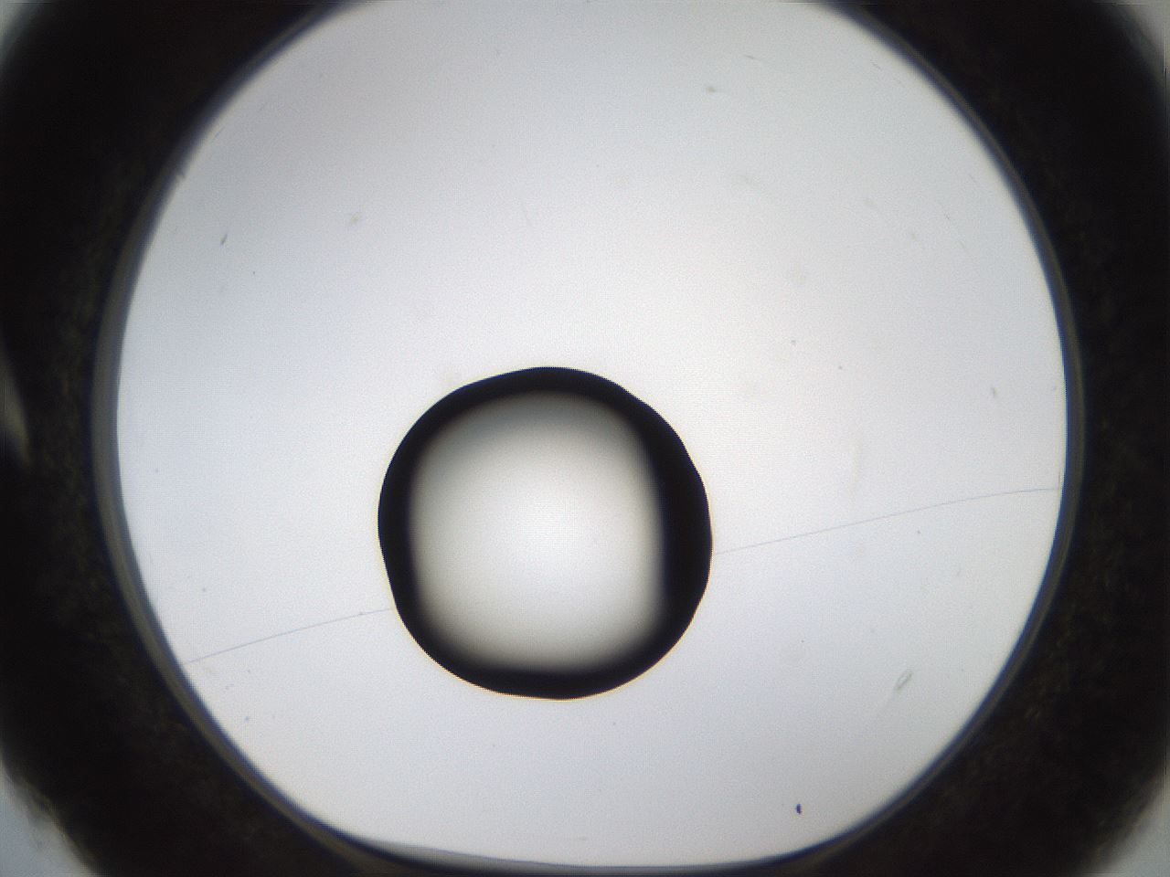 folderID228_plateID1228_batchID3780_wellNum4_profileID1_d1_r70307_ef.jpg