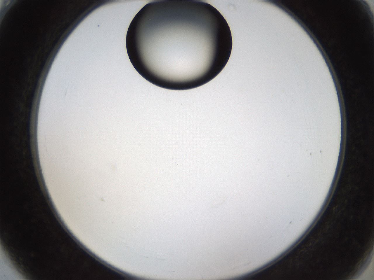 folderID228_plateID1228_batchID3780_wellNum4_profileID1_d2_r71365_ef.jpg