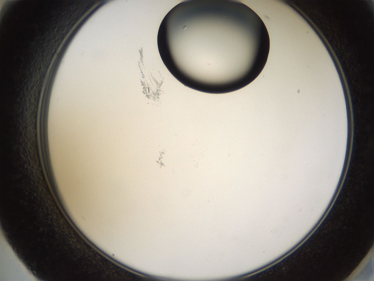 folderID228_plateID1228_batchID3780_wellNum59_profileID1_d2_r71420_ef.jpg