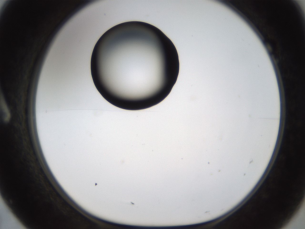 folderID228_plateID1228_batchID3780_wellNum7_profileID1_d1_r70310_ef.jpg