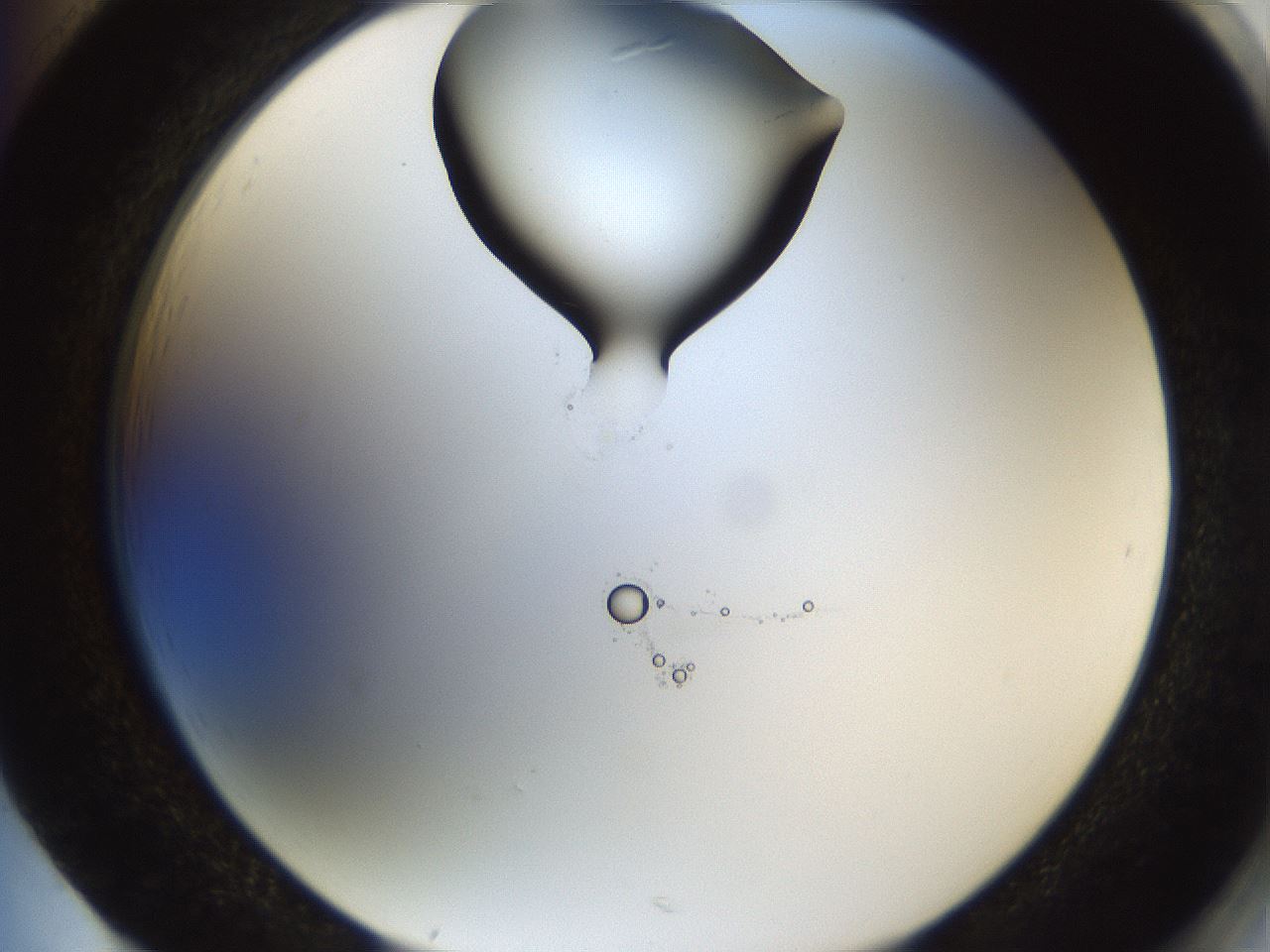 folderID228_plateID1228_batchID3780_wellNum85_profileID1_d2_r71446_ef.jpg