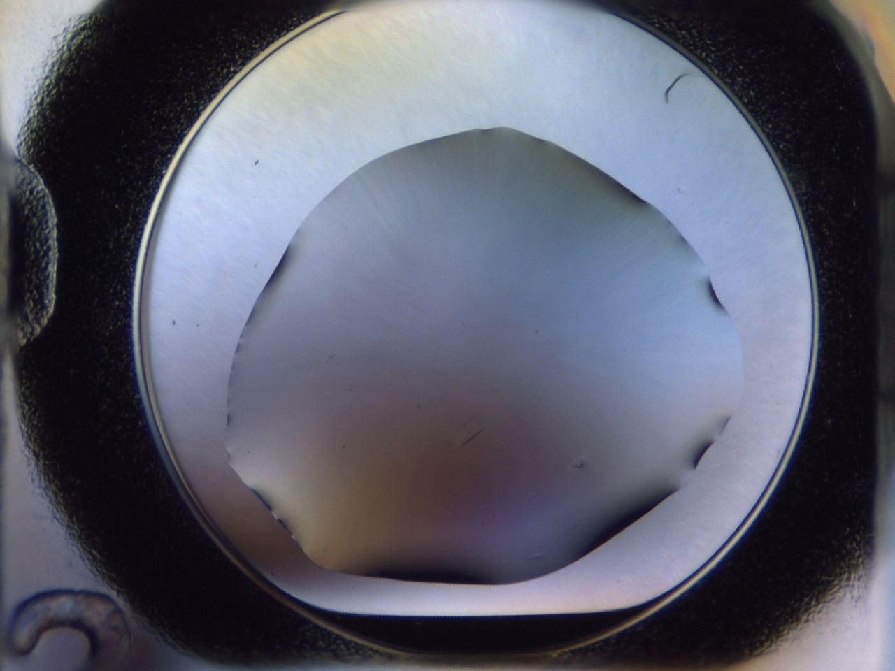 02ha_D12_ImagerDefaults_8.jpg