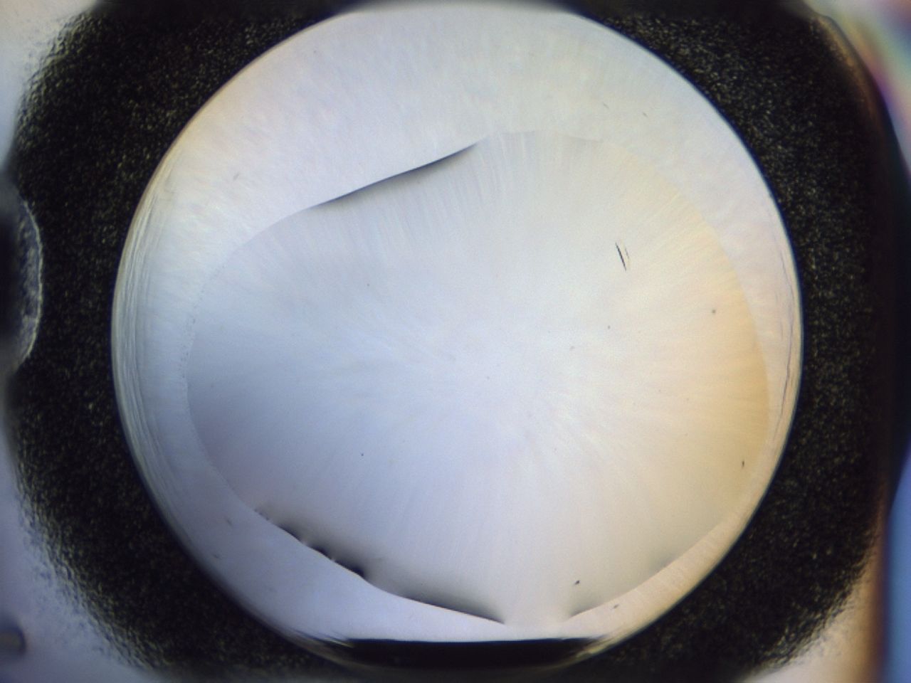 02ha_D5_ImagerDefaults_8.jpg