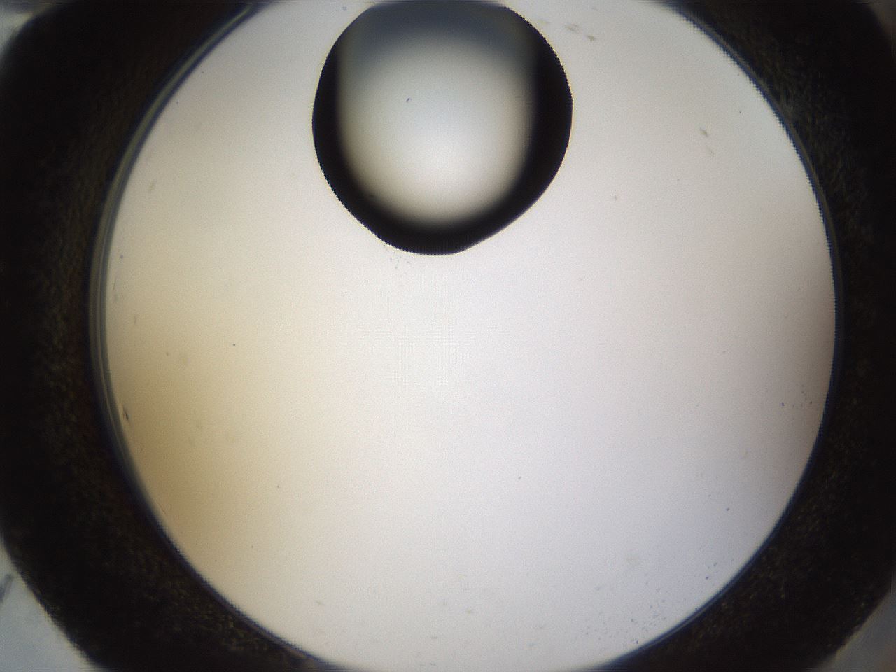 folderID228_plateID1228_batchID3780_wellNum94_profileID1_d2_r71455_ef.jpg