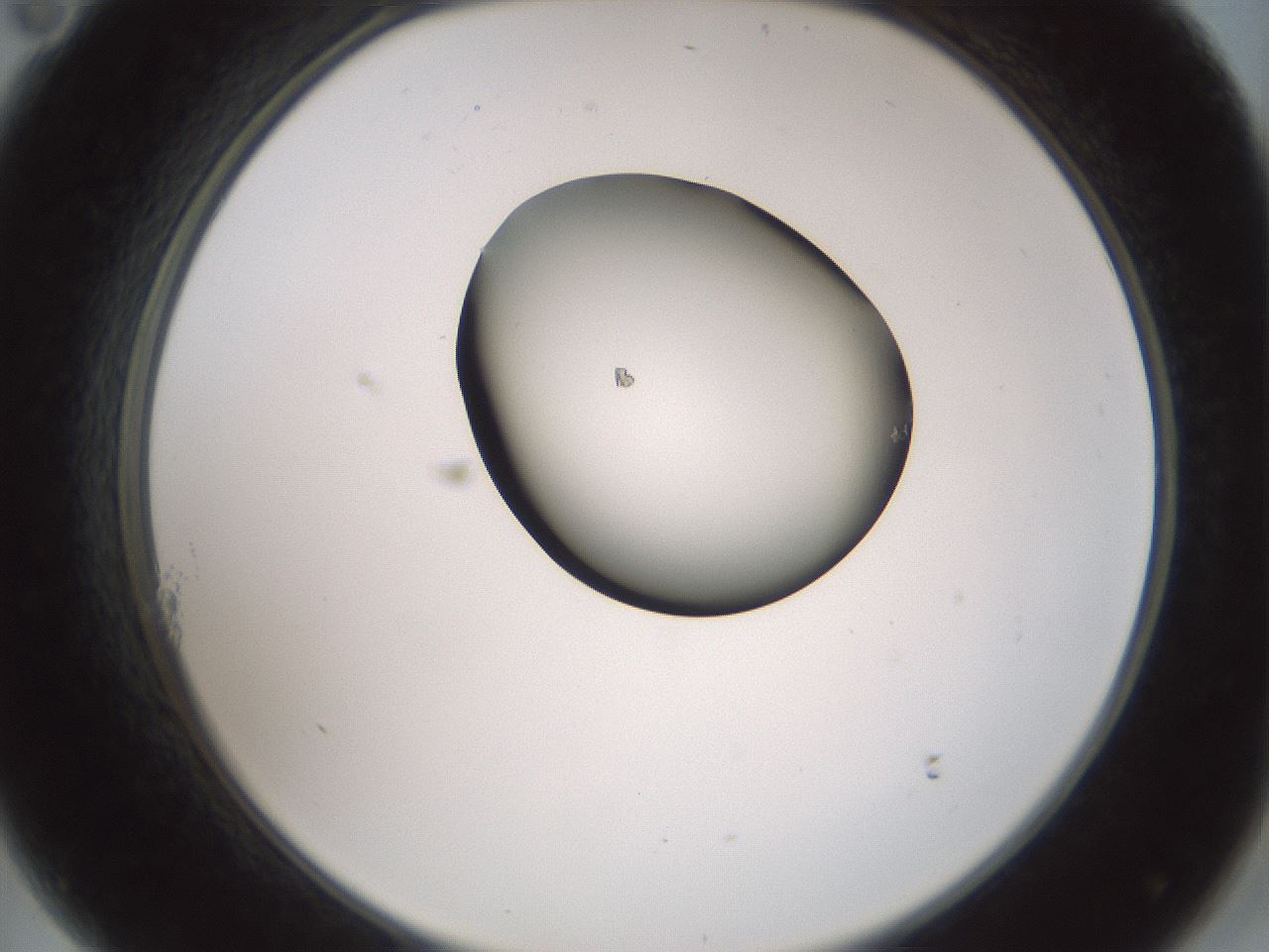 folderID229_plateID1229_batchID3781_wellNum11_profileID1_d2_r71564_ef.jpg