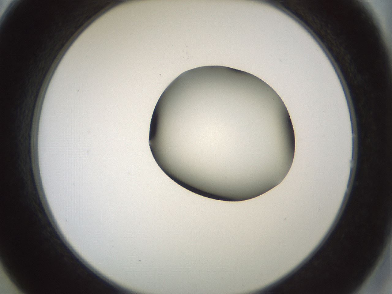 folderID229_plateID1229_batchID3781_wellNum14_profileID1_d2_r71567_ef.jpg