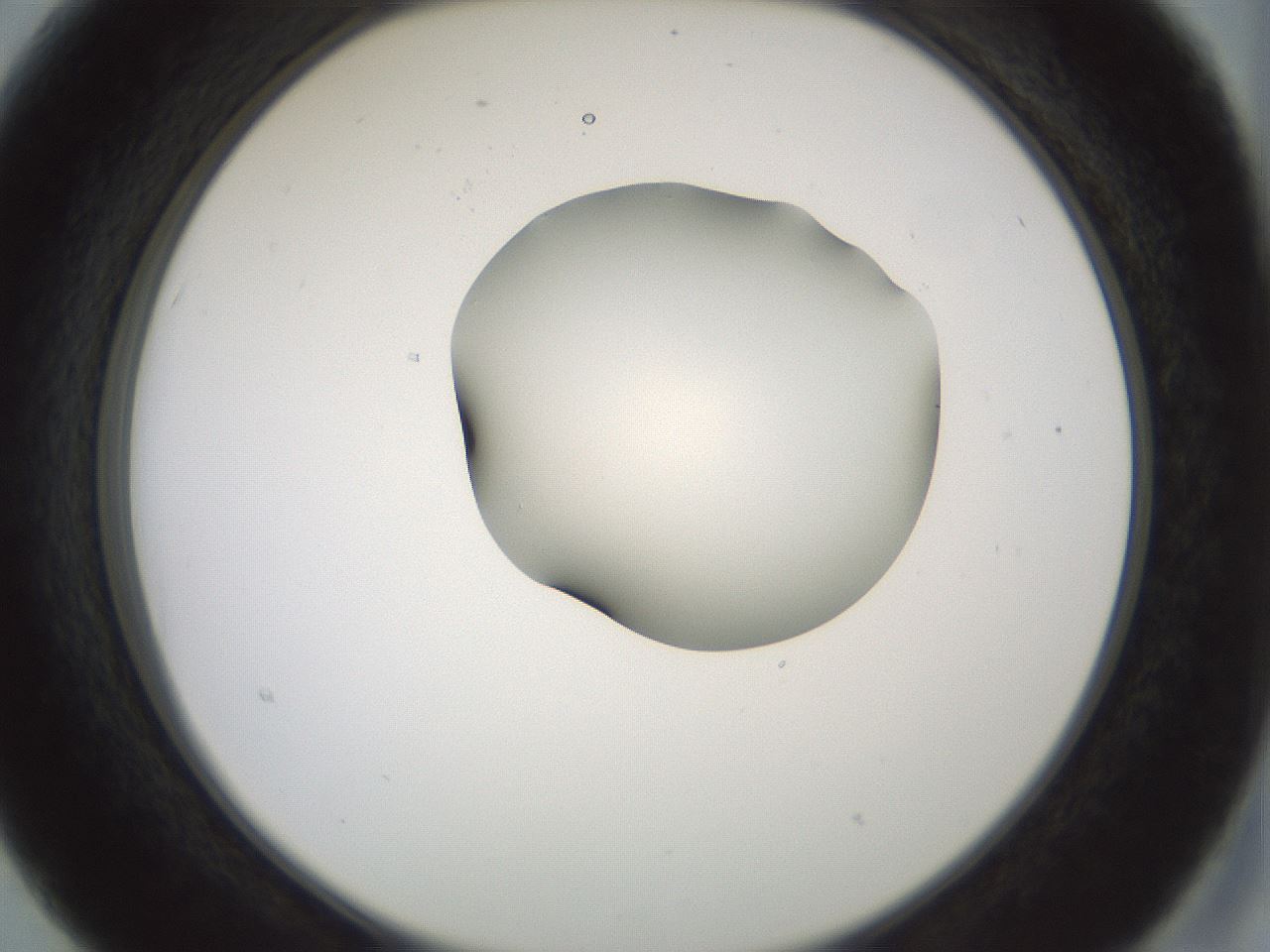 folderID229_plateID1229_batchID3781_wellNum15_profileID1_d2_r71568_ef.jpg