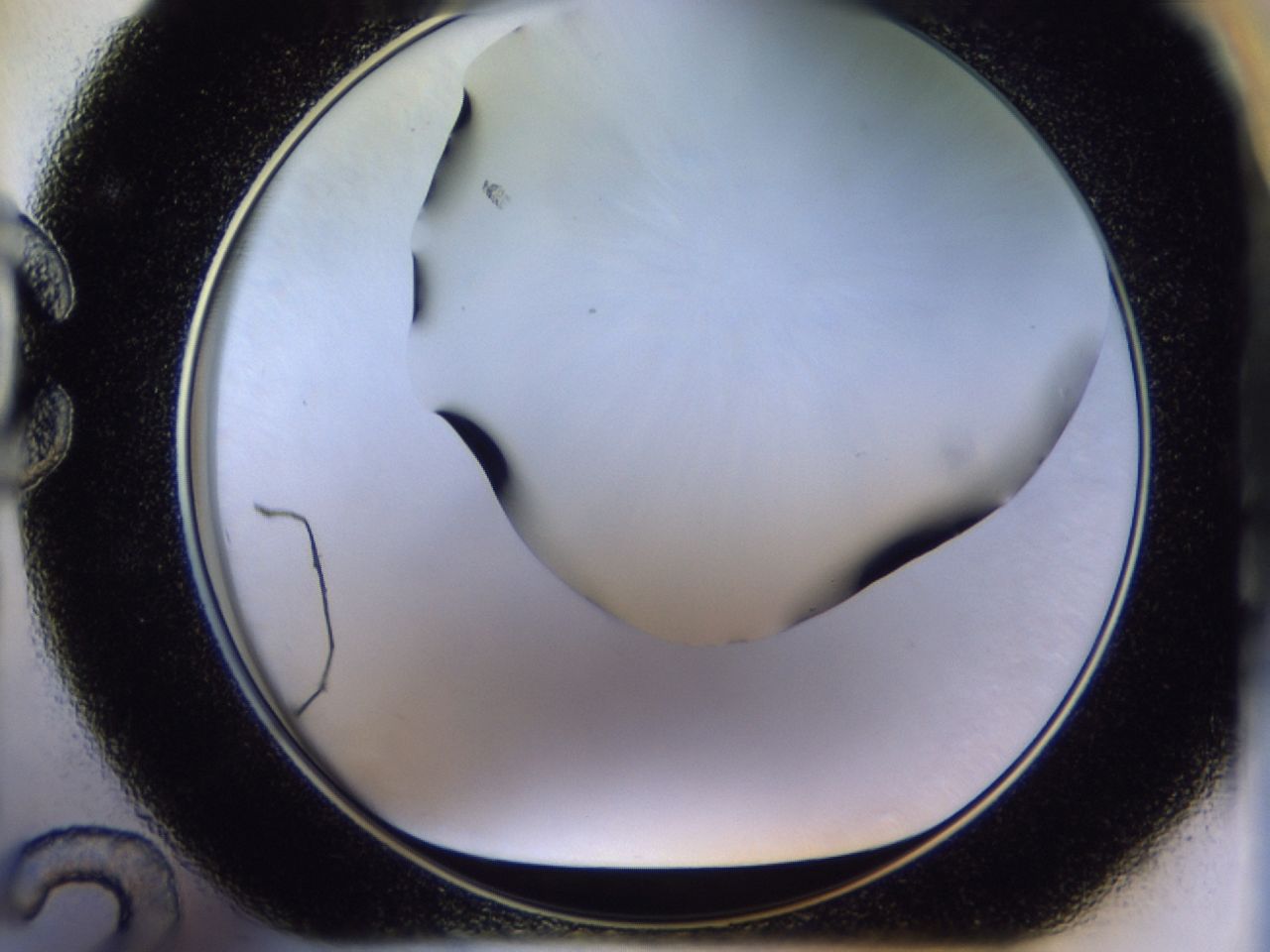 02ha_C12_ImagerDefaults_6.jpg