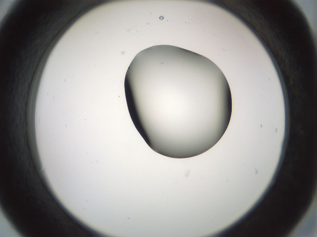 folderID229_plateID1229_batchID3781_wellNum30_profileID1_d2_r71583_ef.jpg