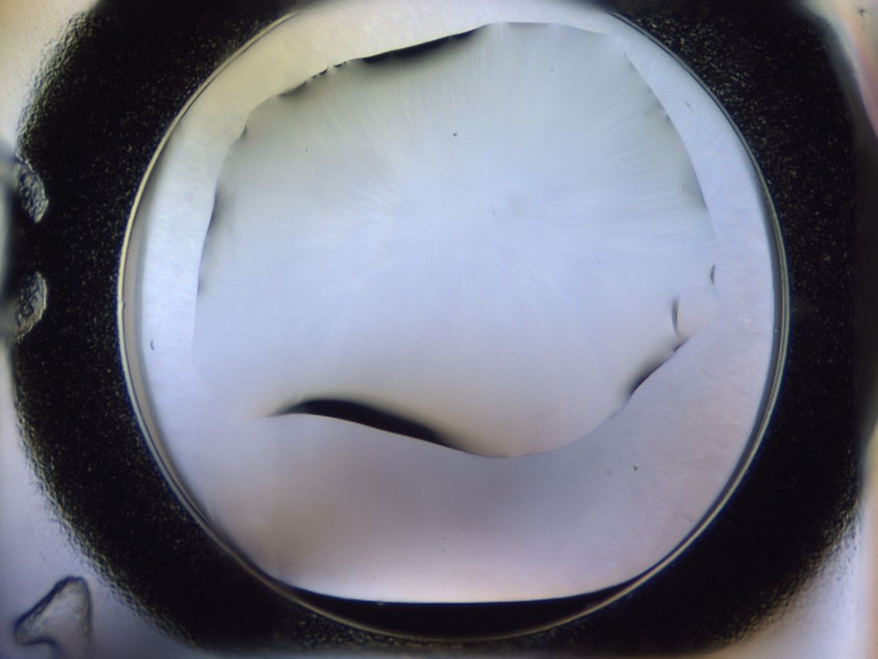 02ha_C11_ImagerDefaults_8.jpg