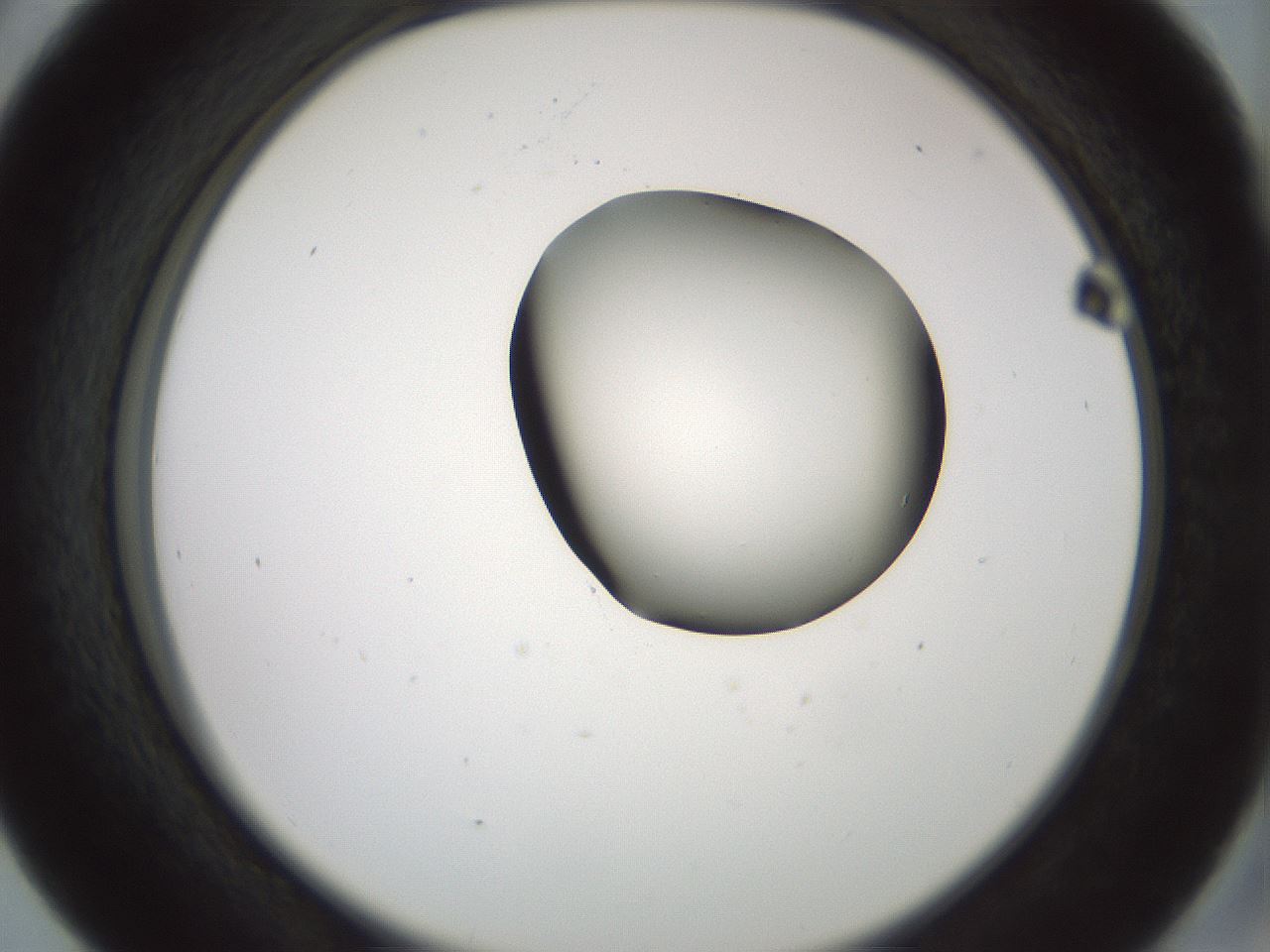 folderID229_plateID1229_batchID3781_wellNum41_profileID1_d2_r71594_ef.jpg